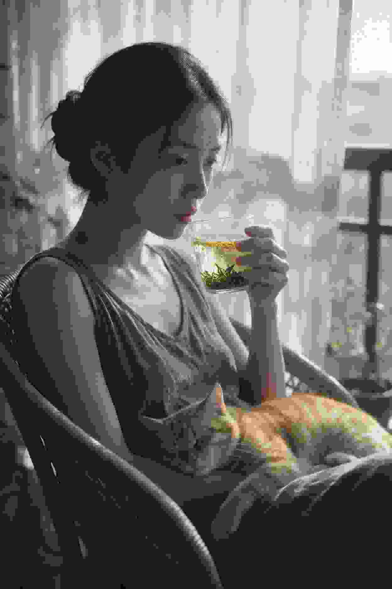 动画